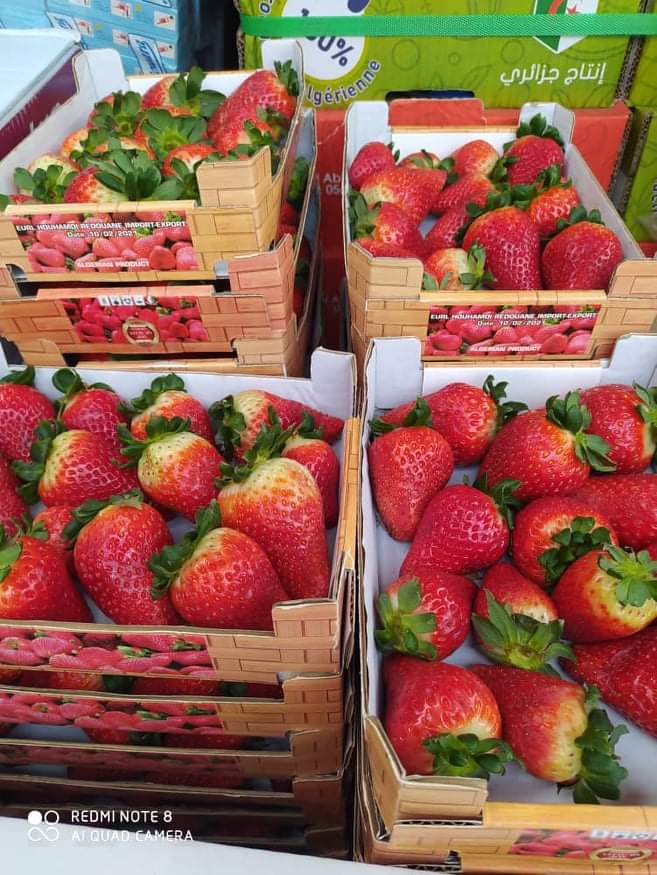 WhatsApp Image 2025-05-10 at 7.26.03 AM (1)